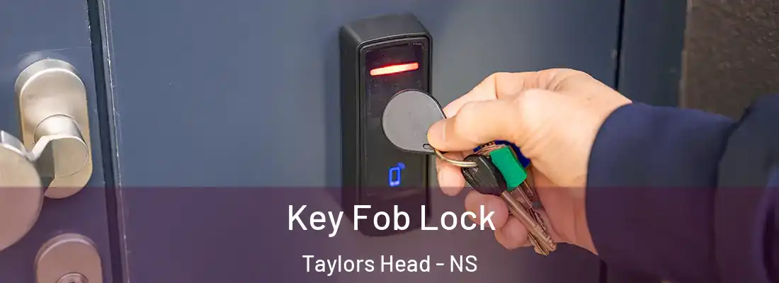 Key Fob Lock Taylors Head - NS