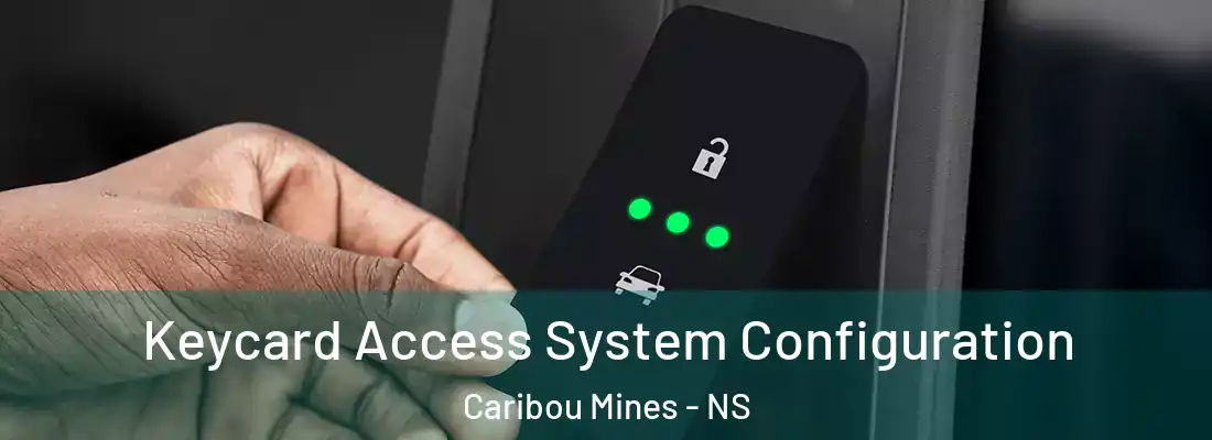 Keycard Access System Configuration Caribou Mines - NS