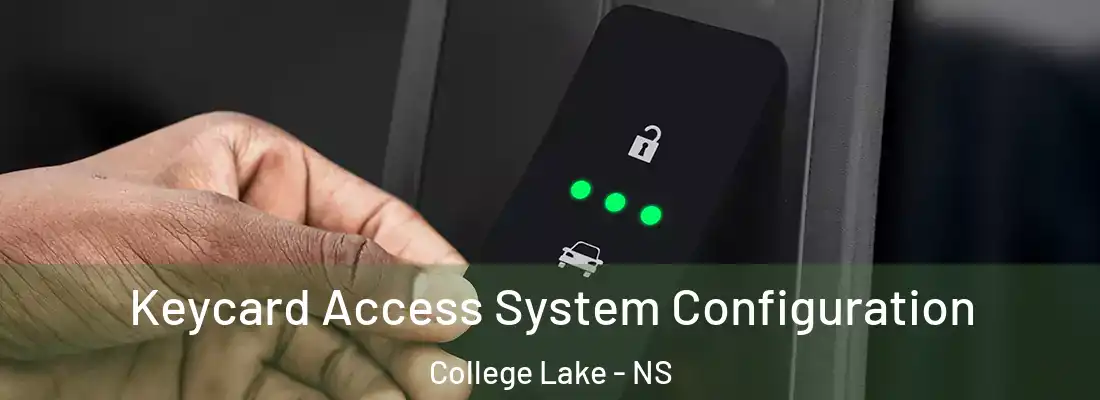 Keycard Access System Configuration College Lake - NS