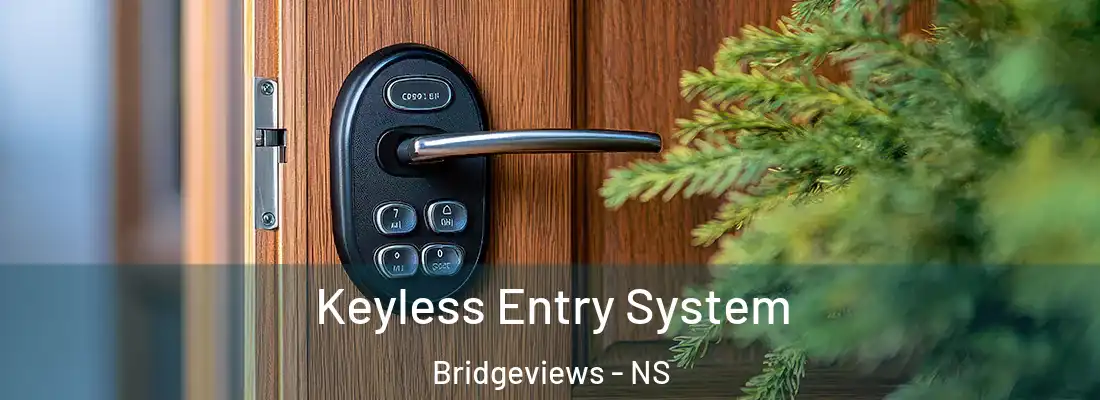  Keyless Entry System Bridgeviews - NS