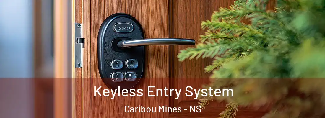 Keyless Entry System Caribou Mines - NS