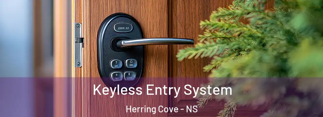  Keyless Entry System Herring Cove - NS