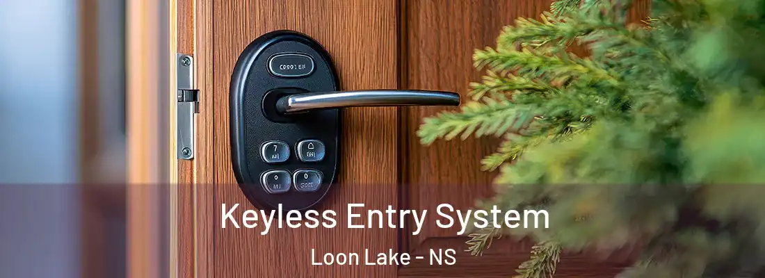  Keyless Entry System Loon Lake - NS