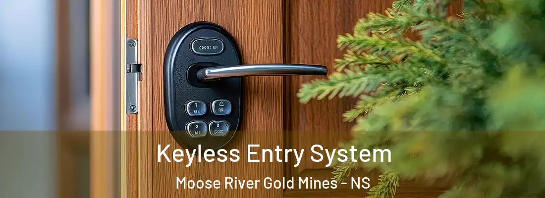  Keyless Entry System Moose River Gold Mines - NS