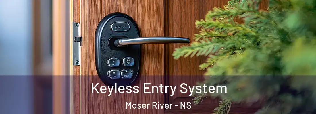  Keyless Entry System Moser River - NS