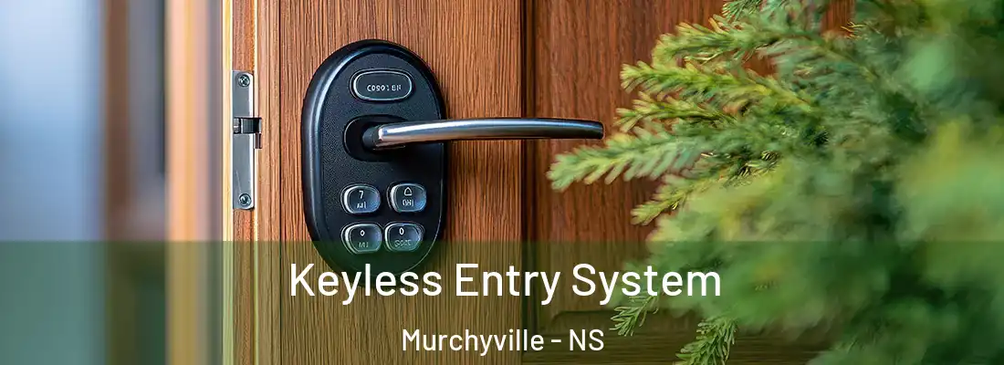 Keyless Entry System Murchyville - NS