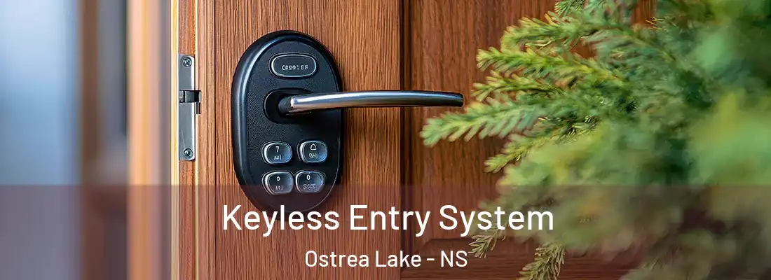  Keyless Entry System Ostrea Lake - NS