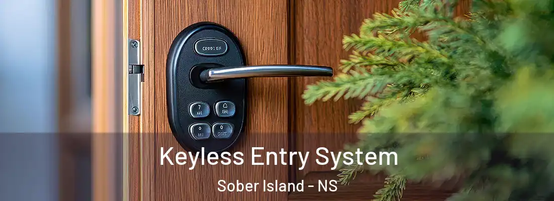  Keyless Entry System Sober Island - NS