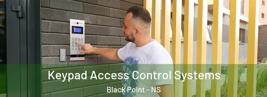 Keypad Access Control Systems Black Point - NS