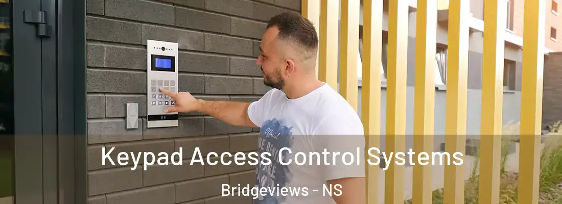Keypad Access Control Systems Bridgeviews - NS