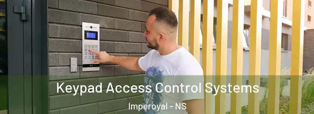 Keypad Access Control Systems Imperoyal - NS