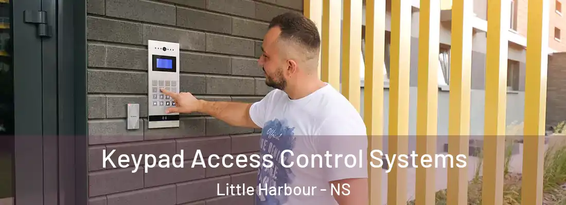 Keypad Access Control Systems Little Harbour - NS