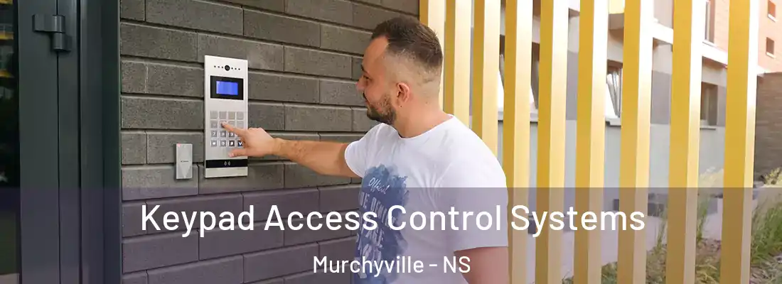 Keypad Access Control Systems Murchyville - NS