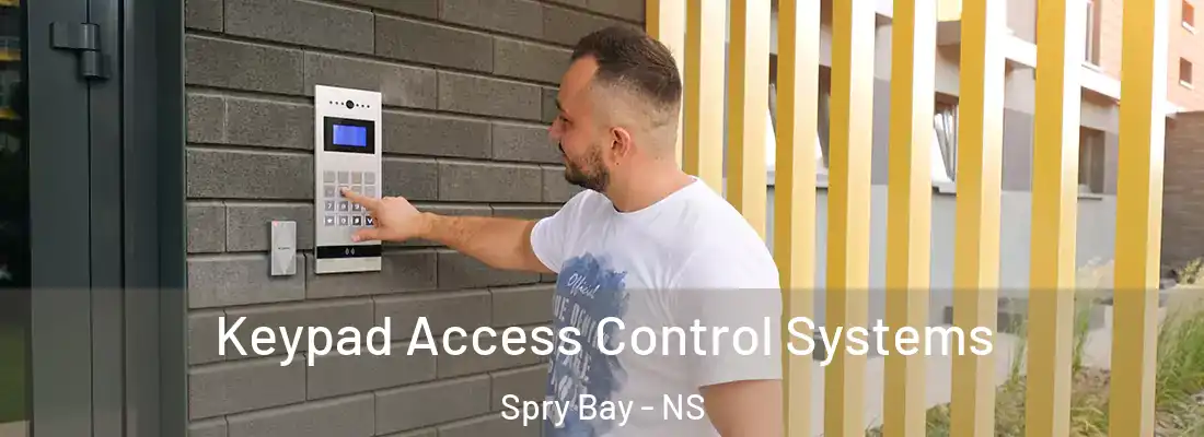 Keypad Access Control Systems Spry Bay - NS