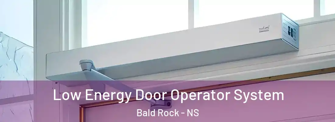 Low Energy Door Operator System Bald Rock - NS