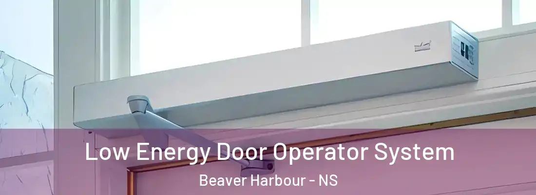 Low Energy Door Operator System Beaver Harbour - NS