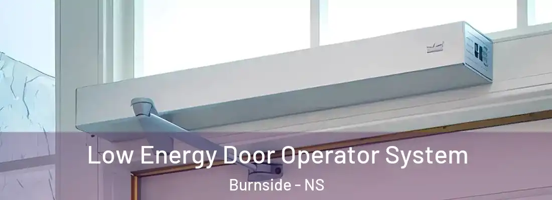 Low Energy Door Operator System Burnside - NS