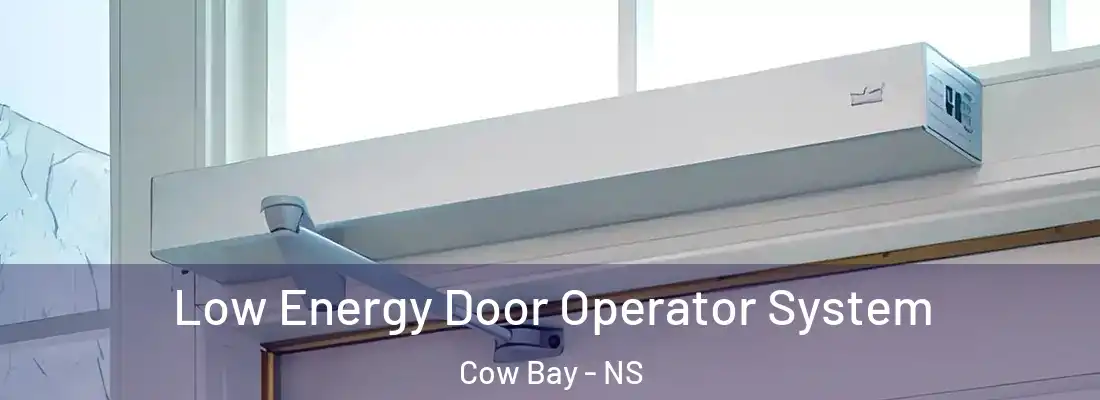 Low Energy Door Operator System Cow Bay - NS