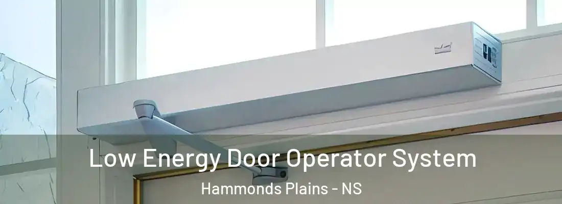 Low Energy Door Operator System Hammonds Plains - NS