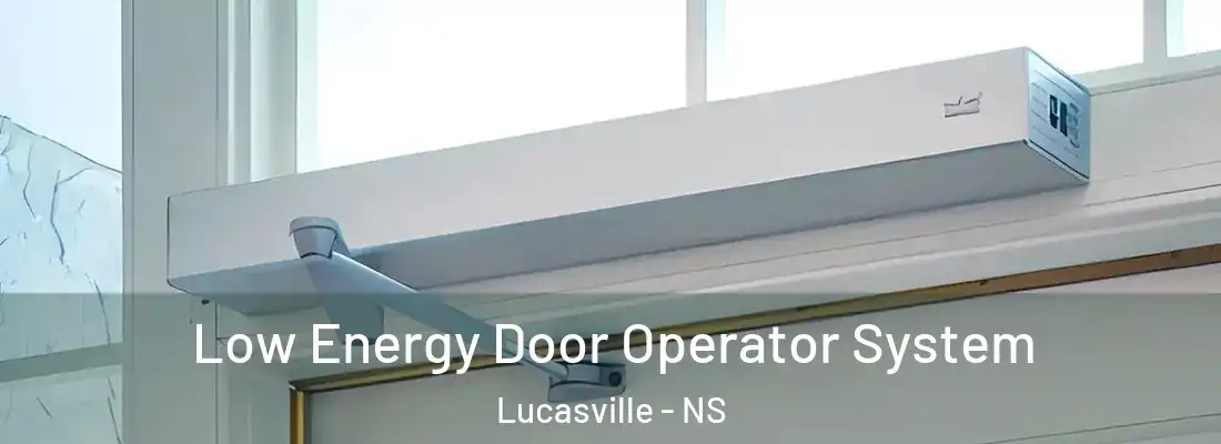Low Energy Door Operator System Lucasville - NS
