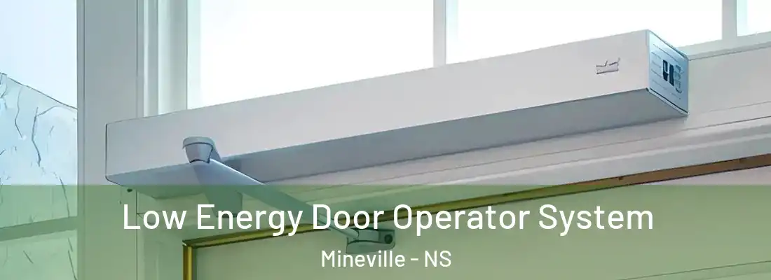  Low Energy Door Operator System Mineville - NS