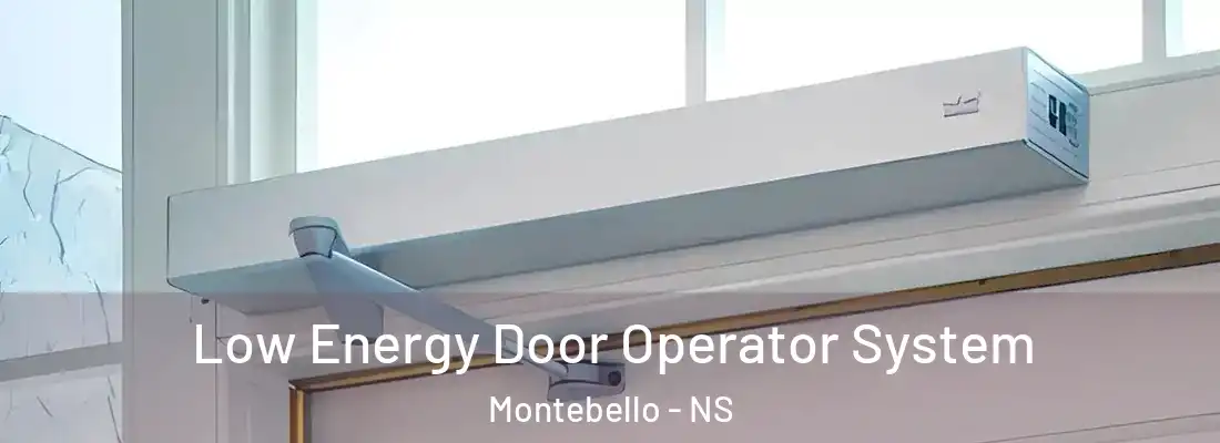 Low Energy Door Operator System Montebello - NS