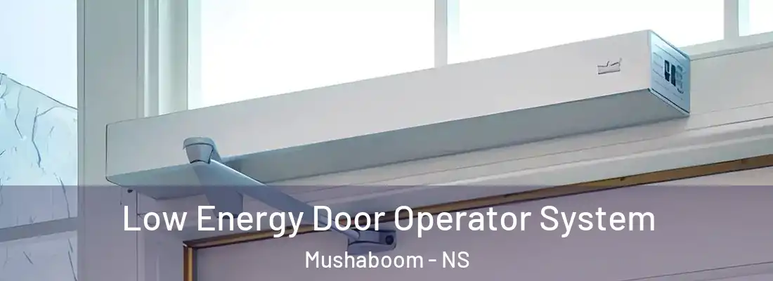  Low Energy Door Operator System Mushaboom - NS
