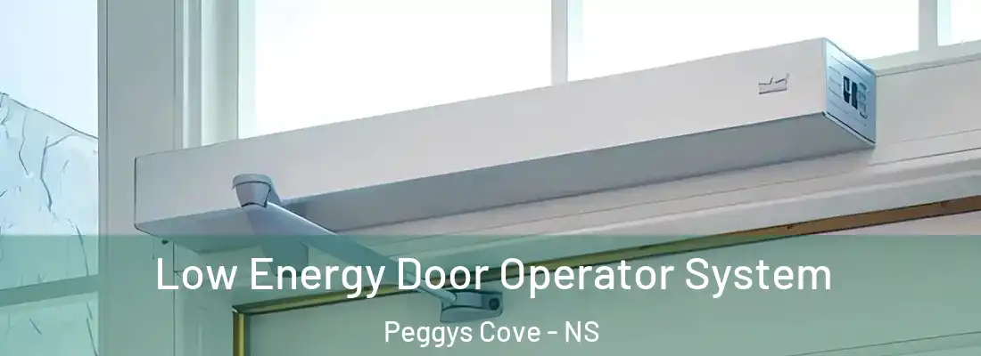  Low Energy Door Operator System Peggys Cove - NS