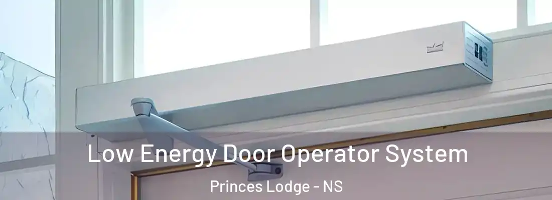 Low Energy Door Operator System Princes Lodge - NS