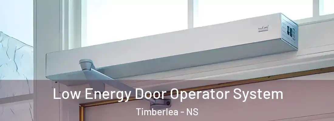 Low Energy Door Operator System Timberlea - NS