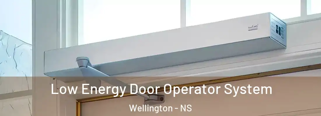 Low Energy Door Operator System Wellington - NS