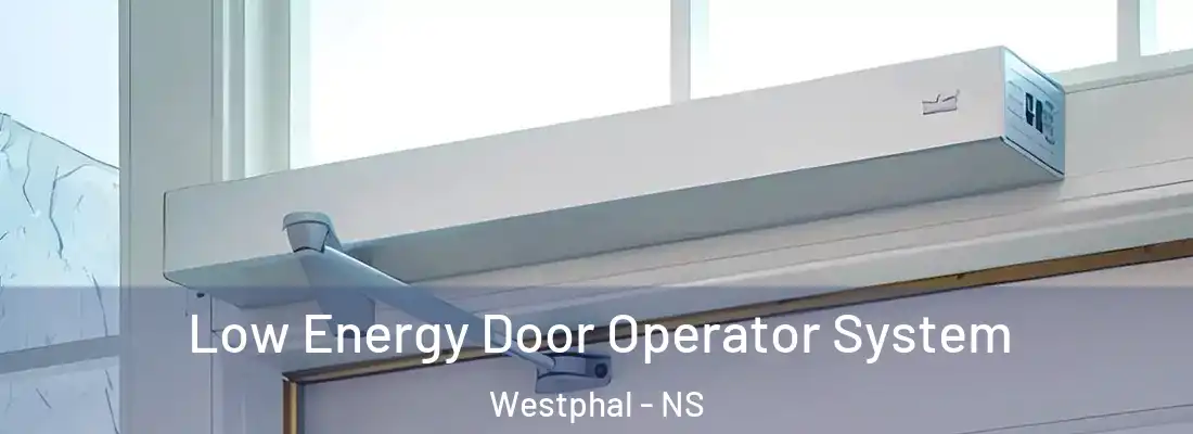 Low Energy Door Operator System Westphal - NS