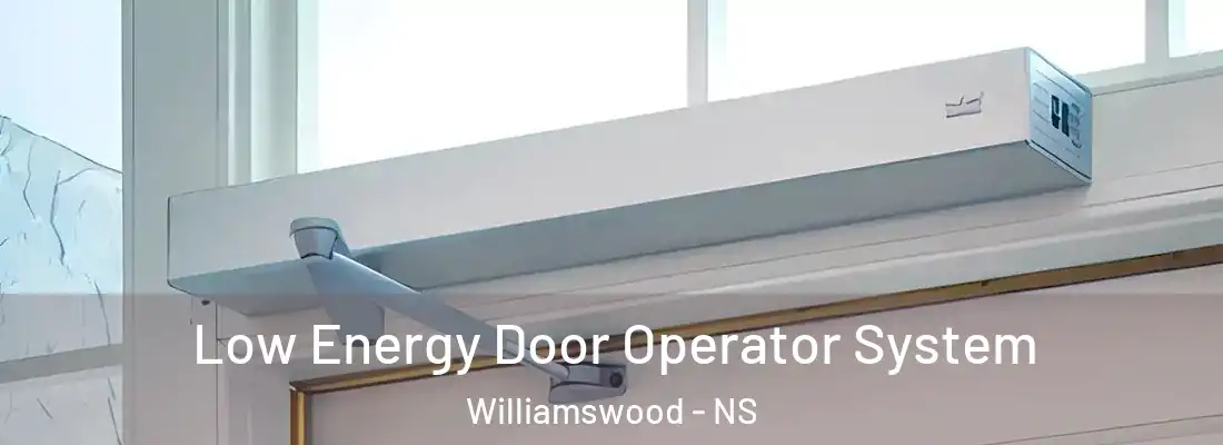  Low Energy Door Operator System Williamswood - NS