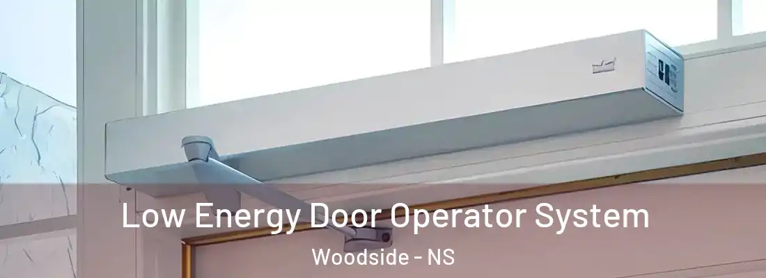  Low Energy Door Operator System Woodside - NS
