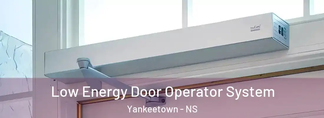 Low Energy Door Operator System Yankeetown - NS