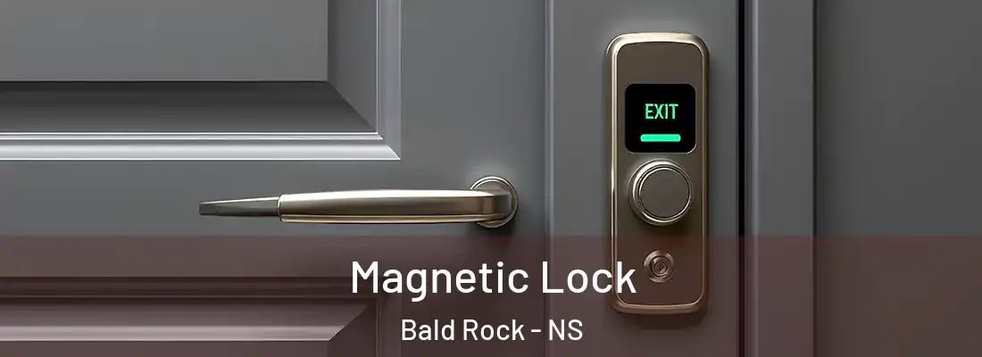 Magnetic Lock Bald Rock - NS