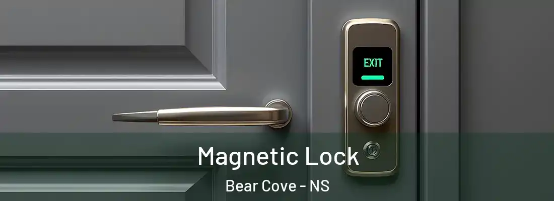  Magnetic Lock Bear Cove - NS