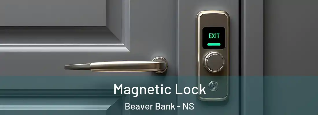 Magnetic Lock Beaver Bank - NS