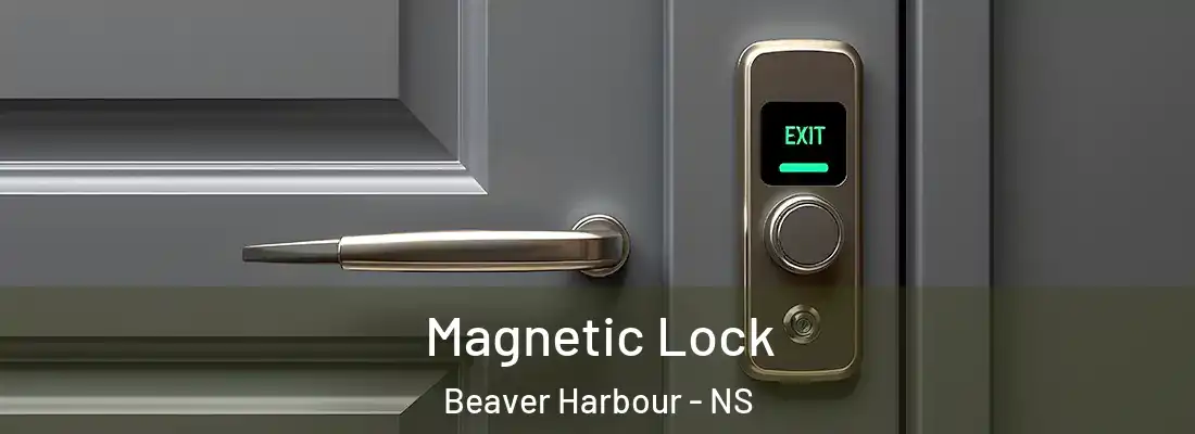Magnetic Lock Beaver Harbour - NS
