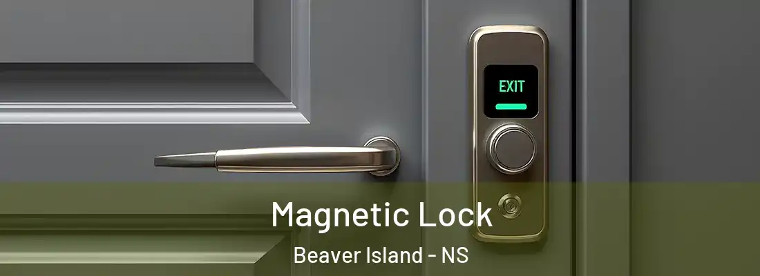 Magnetic Lock Beaver Island - NS