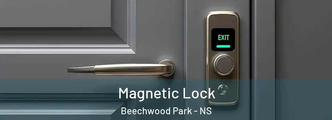  Magnetic Lock Beechwood Park - NS