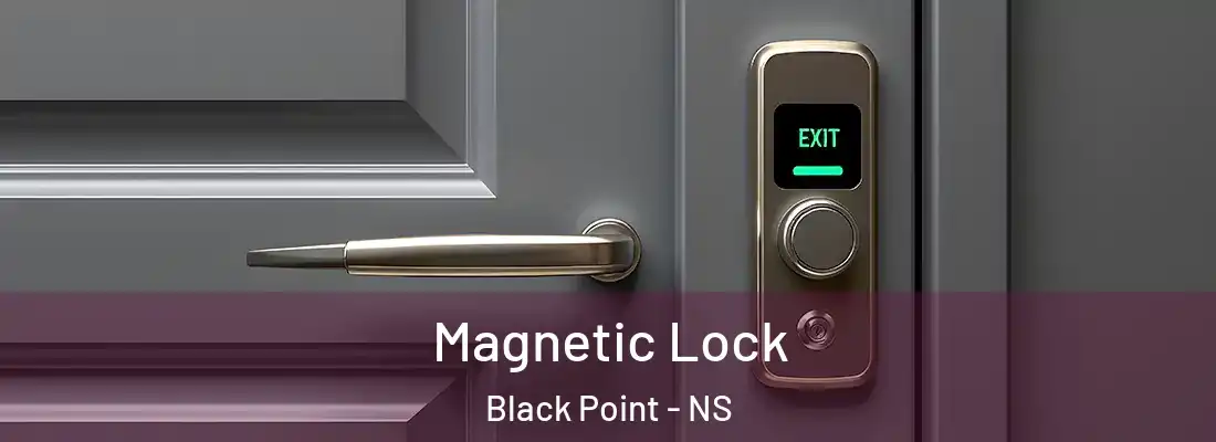 Magnetic Lock Black Point - NS