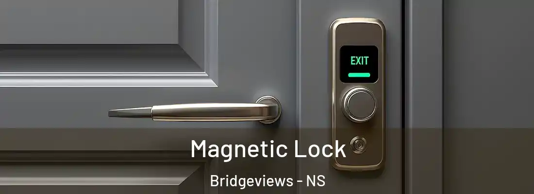 Magnetic Lock Bridgeviews - NS