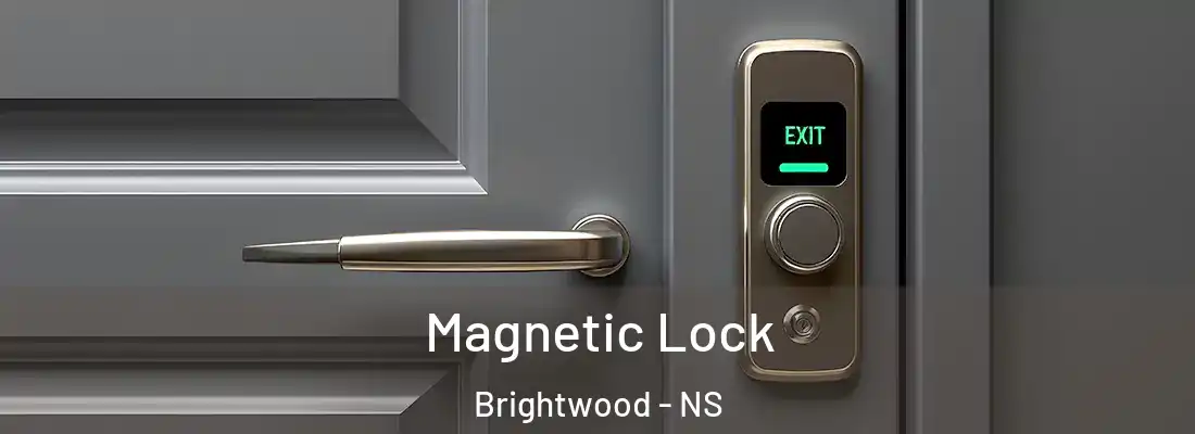 Magnetic Lock Brightwood - NS