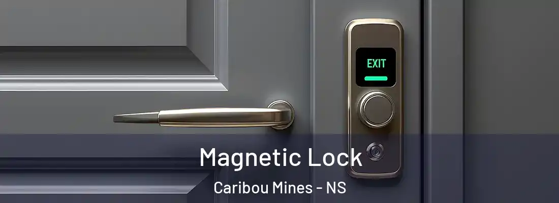 Magnetic Lock Caribou Mines - NS