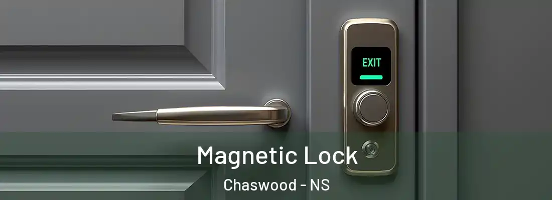 Magnetic Lock Chaswood - NS
