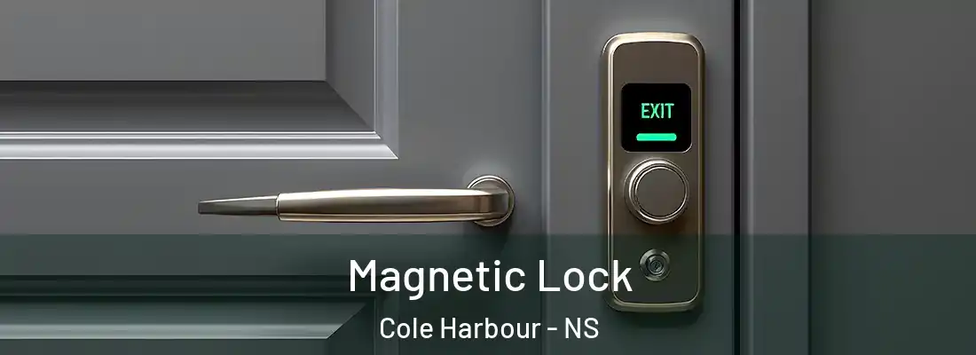 Magnetic Lock Cole Harbour - NS