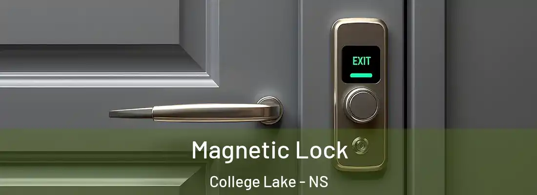 Magnetic Lock College Lake - NS