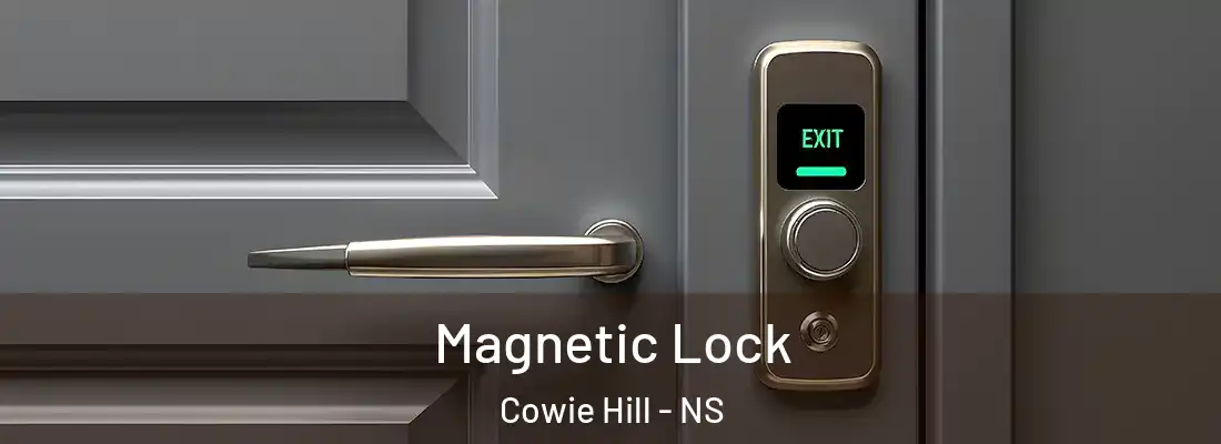 Magnetic Lock Cowie Hill - NS
