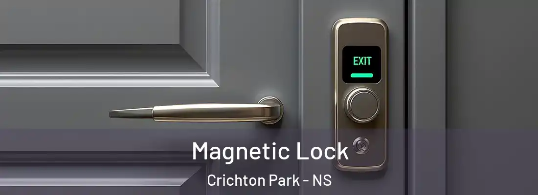 Magnetic Lock Crichton Park - NS